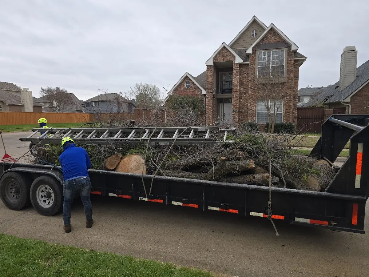 Expert Lot Clearing with proper safety equipment in Dixie